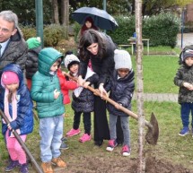 Il ministro Costa a Torino per la Festa dell’Albero. In dieci anni donati dai cittadini 654 alberi