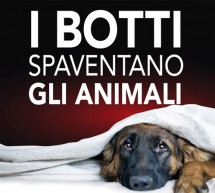 A Torino botti e petardi vietati a tutela della salute di persone e animali