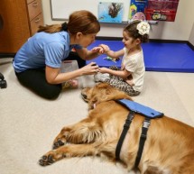 Pet Therapy, il Comune sostiene il progetto “Piccoli amici a quattro zampe”