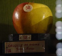 Nasce l’intesa fra il Museo della Frutta e la Scuola Malva Arnaldi di Bibiana