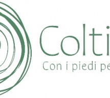 Agricoltura protagonista a Torino: debutta ColtivaTO, un festival coi piedi per terra