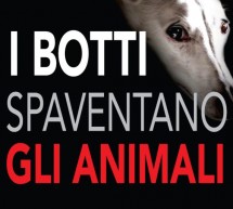“I botti spaventano gli animali”: campagna della Città per Capodanno