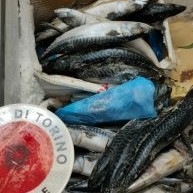 Tutela del consumatore, sequestrati 280 Kg di carne e pesce mal conservati in un minimarket di Corso Giulio Cesare