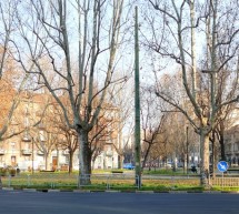Piazza Robilant, approvato il progetto per la realizzazione dell’anello ciclabile e la riqualificazione dell’area