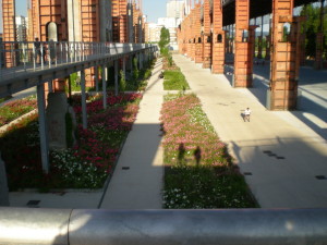 Il Parco Stura (Foto UffStampa To)