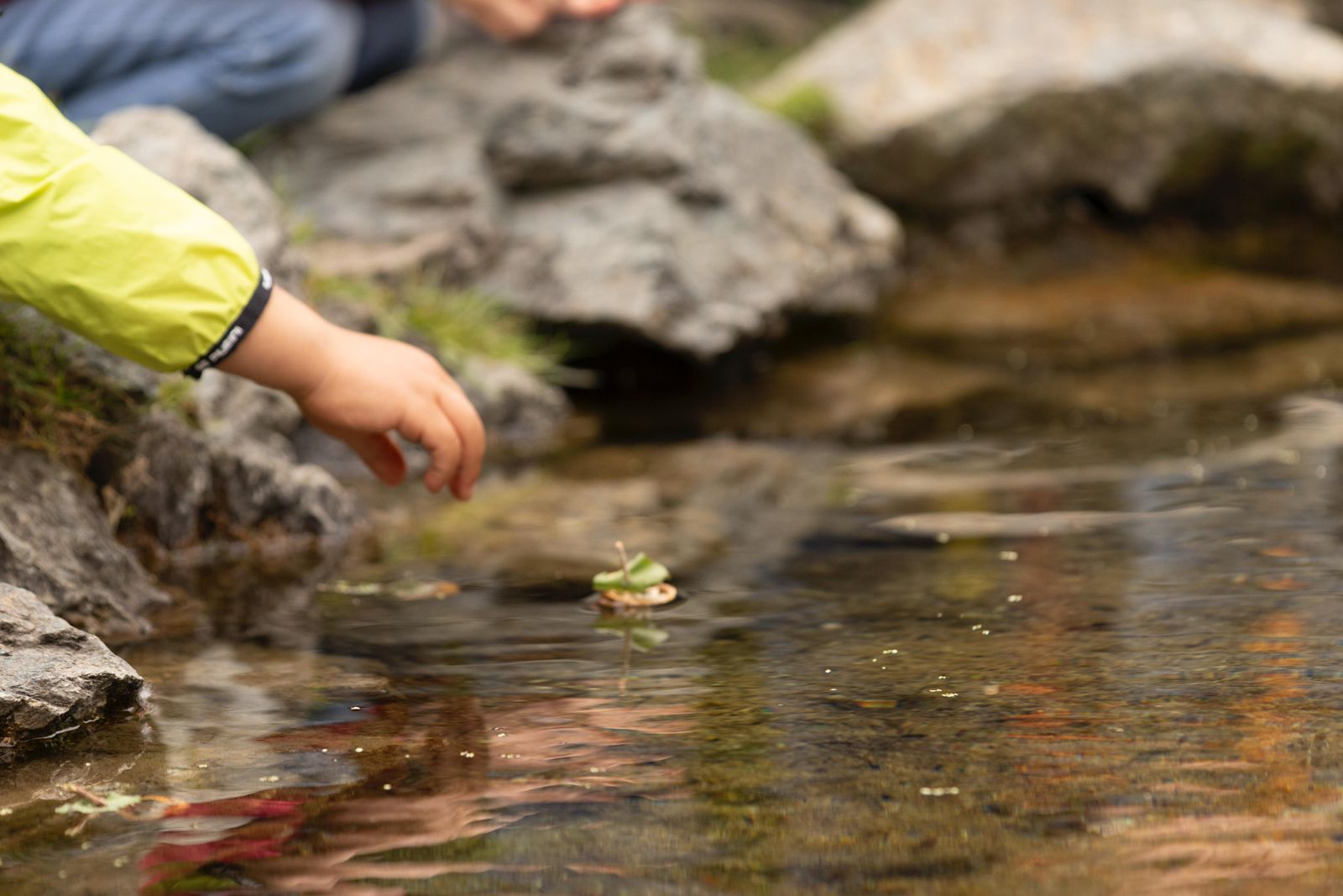 Il rapporto tra acqua, natura e città al centro della nuova edizione del Festival del Verde