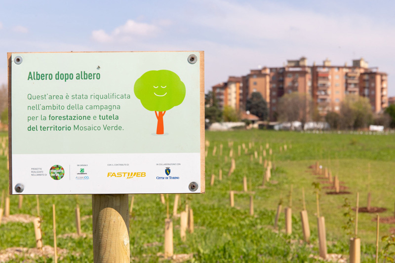Mille nuove piante nel Parco Piemonte grazie a Fastweb per la campagna “Mosaico Verde” di AzzeroCO2 e Legambiente
